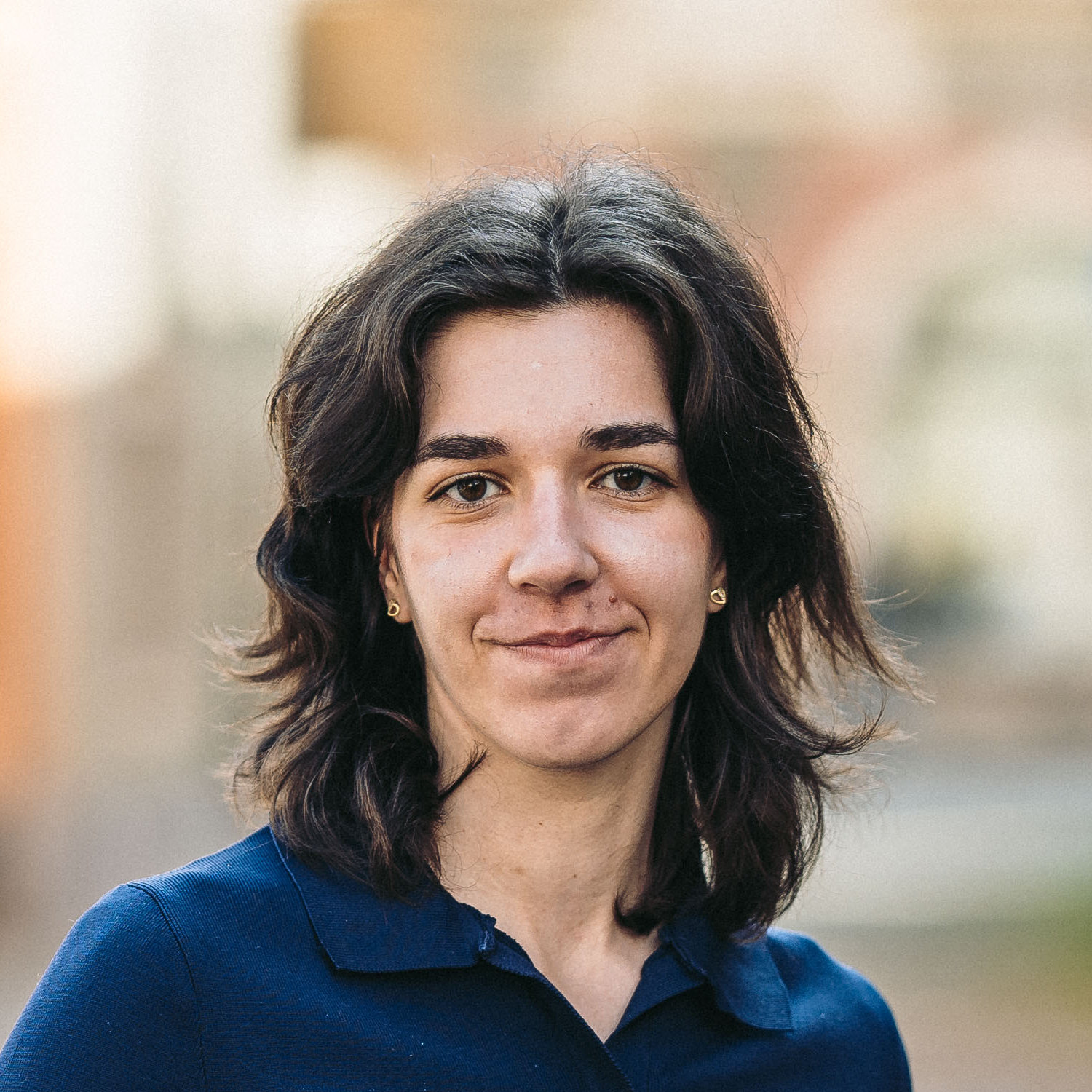 Kristýna Bulíková, Autor na Digitální architekti