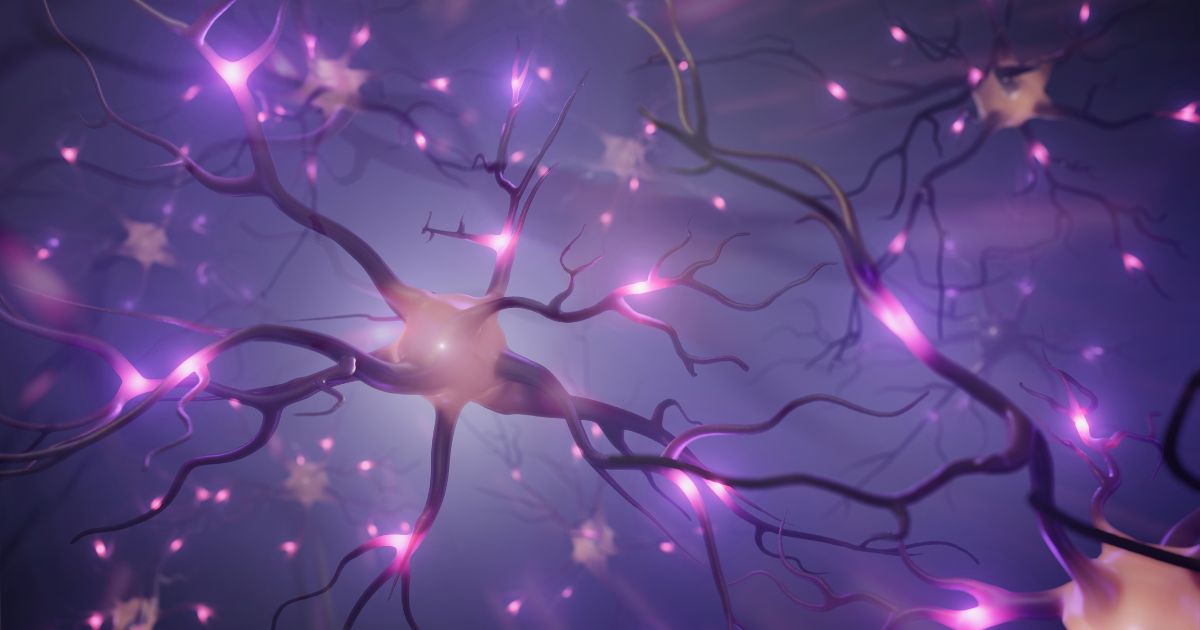 Neuronové sítě umělá inteligence